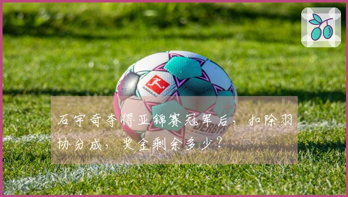 石宇奇夺得亚锦赛冠军后，扣除羽协分成，奖金剩余多少？